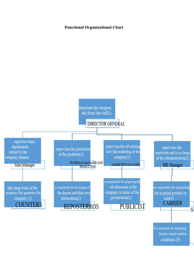 FUNCTIONAL ORGANIGRAM - DISTINGUISH | PDF