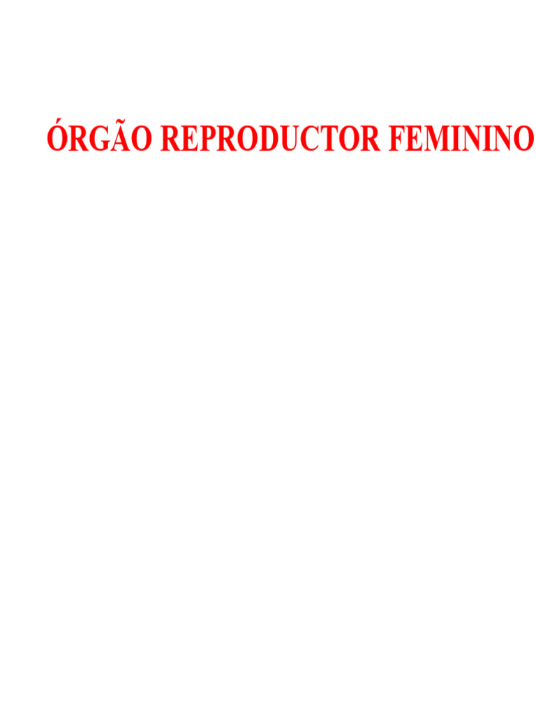 Estrutura do Órgão Reprodutor Feminino | PDF | Ovário | Órgão (anatomia)