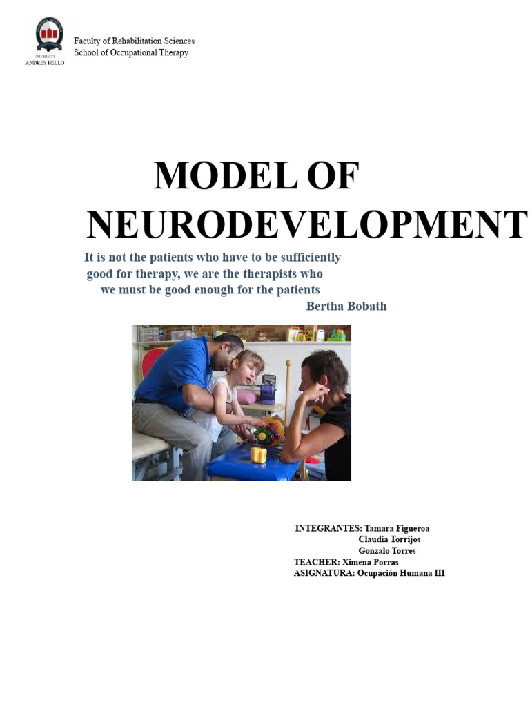 Neurodevelopmental Model in Therapy | PDF | Physical Therapy ...