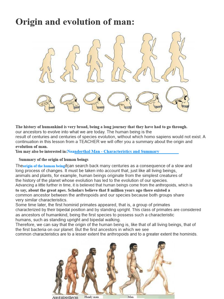 Origin and Evolution of Man | PDF | Homo | Human Evolution