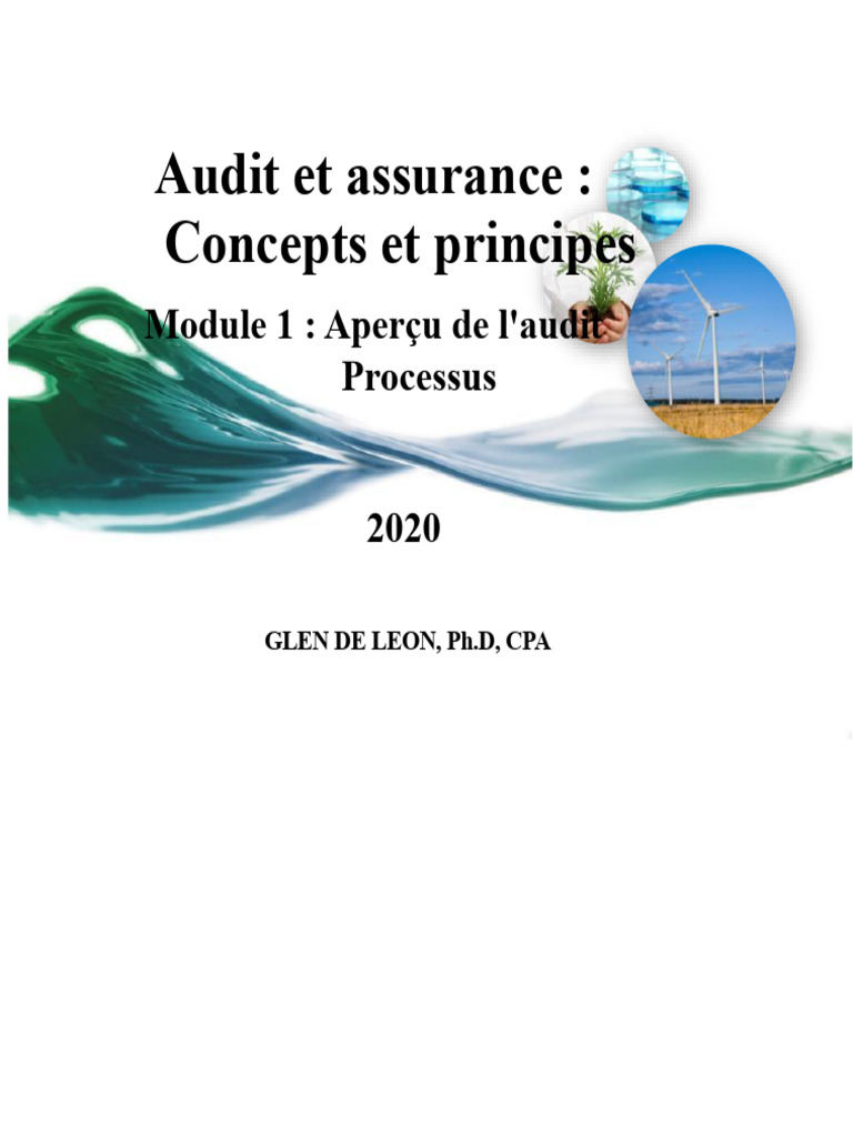 Guide de l'Audit : Phases et Processus | PDF | Audit | Audit financier