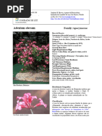 Guia Completo sobre Rosas (Rosa spp.) | PDF | Agricultura | Flores