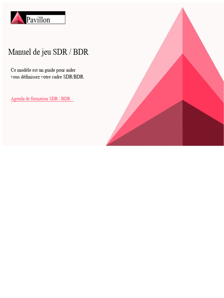 Guide complet pour SDR/BDR efficace | PDF | Gestion de la relation client