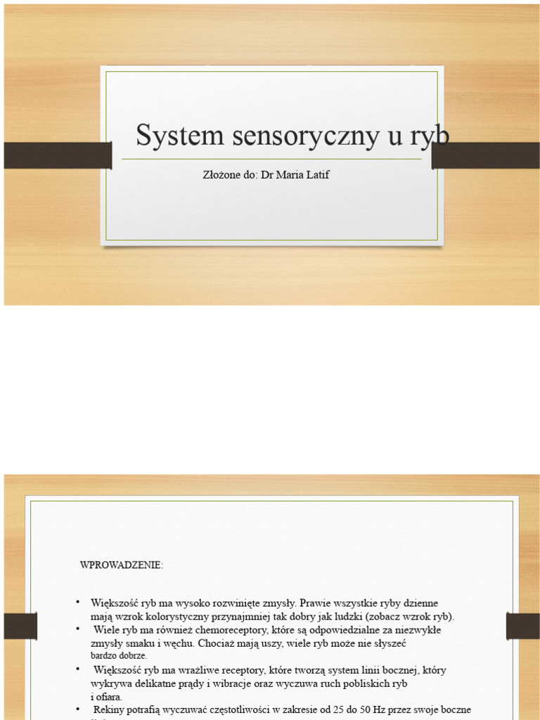 System Zmysłowy U Ryb | PDF