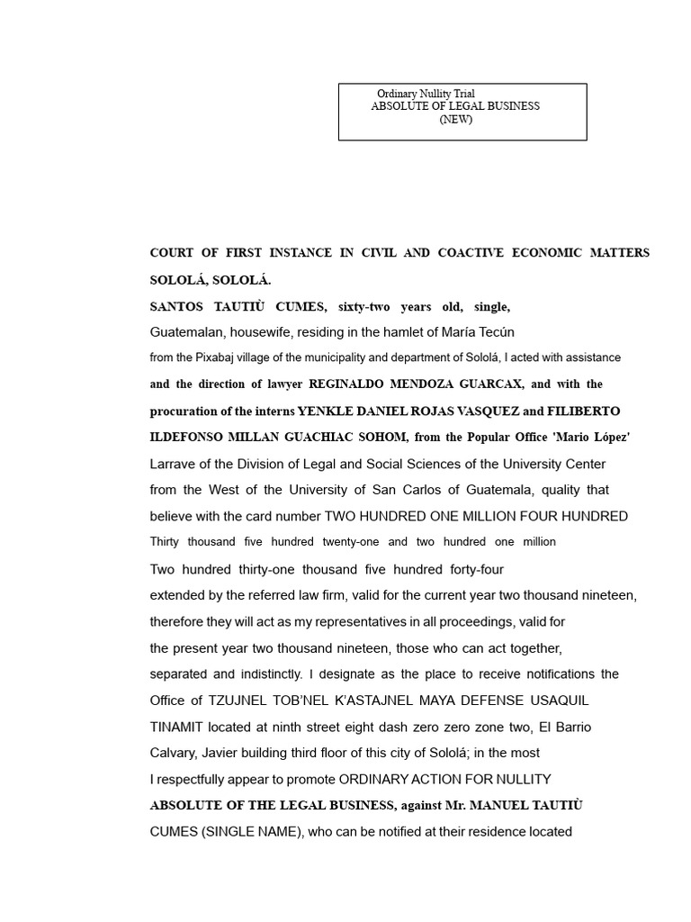 Court of First Instance Civil and Economic Coactive Sololá | PDF ...