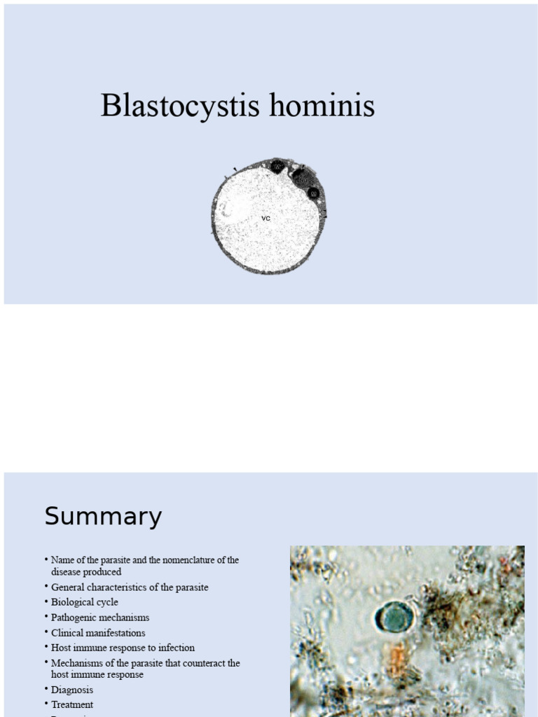 Blastocystis hominis | PDF | Infection | Immune System