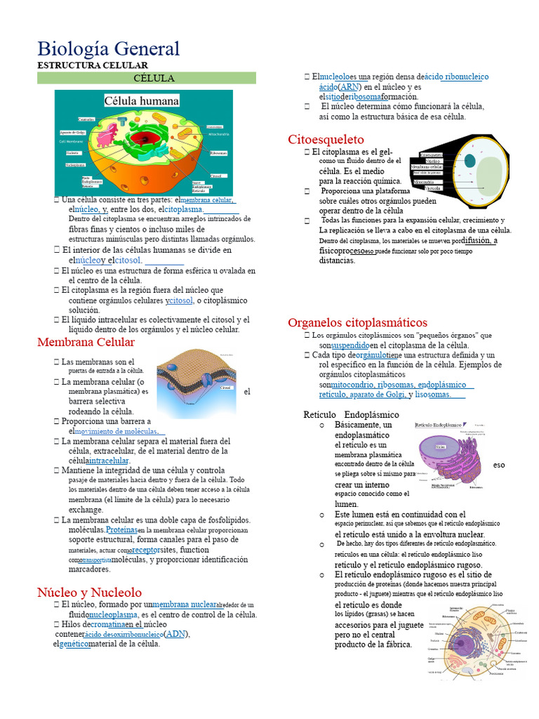 Estructura y Función Celular | PDF | Citoplasma | Biología Celular)