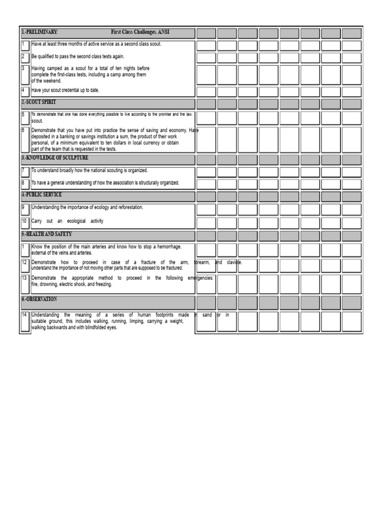 First Class Scout Requirements Guide | PDF