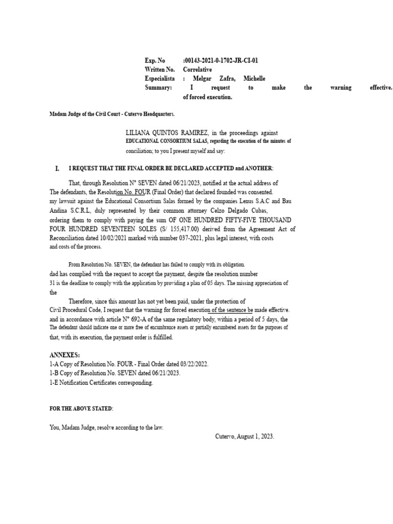 I request forced execution. | PDF | Private Law | Justice