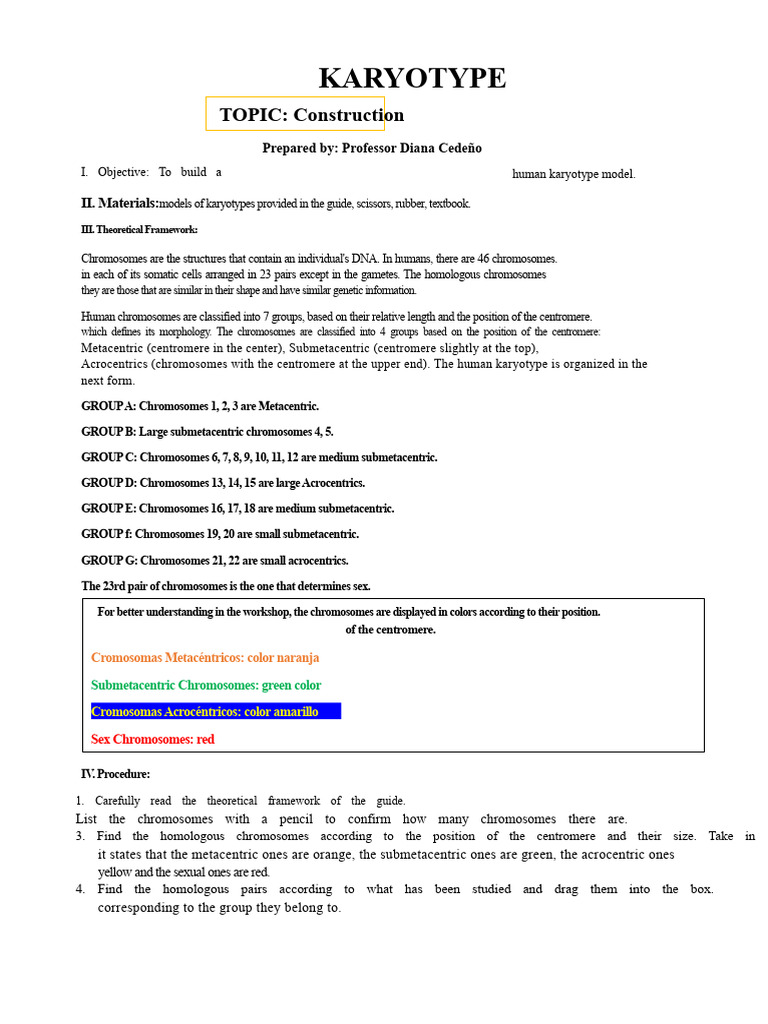 Human Karyotype Construction Guide | PDF | Karyotype | Chromosome