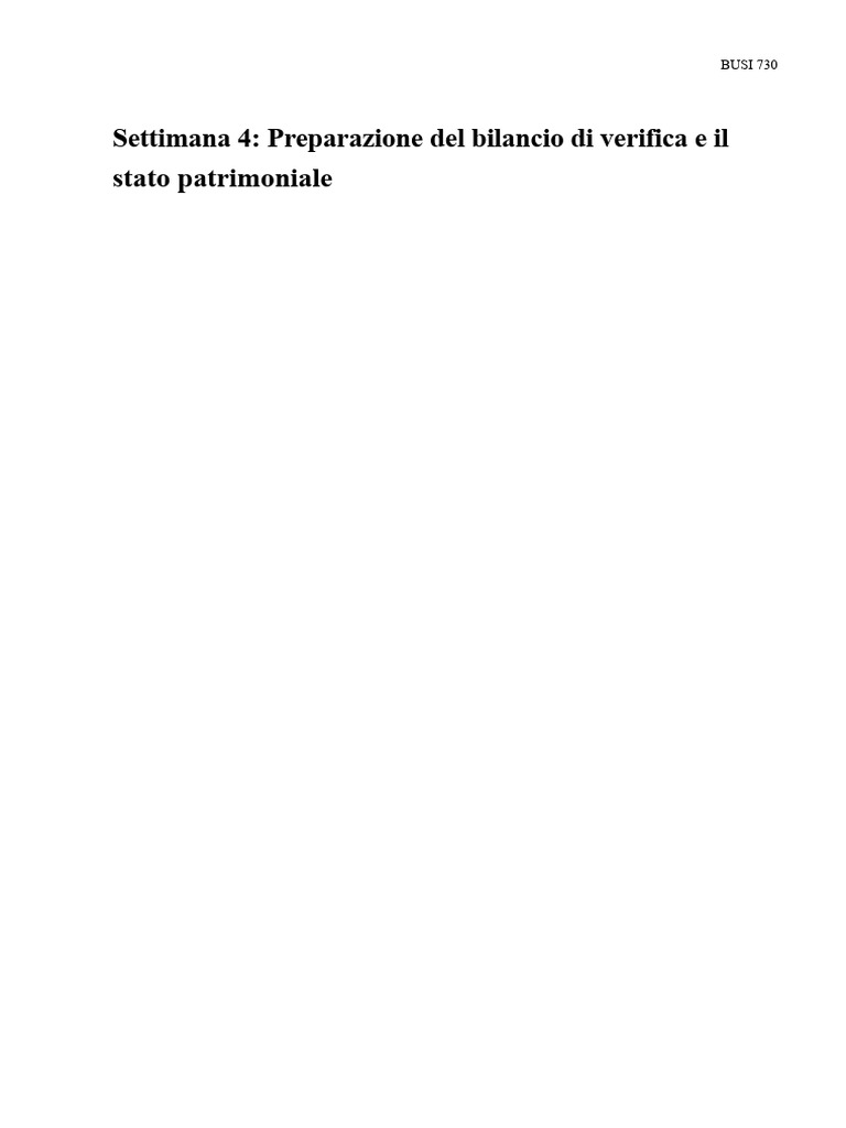 Bilancio Di Verifica e Stato Patrimoniale | PDF