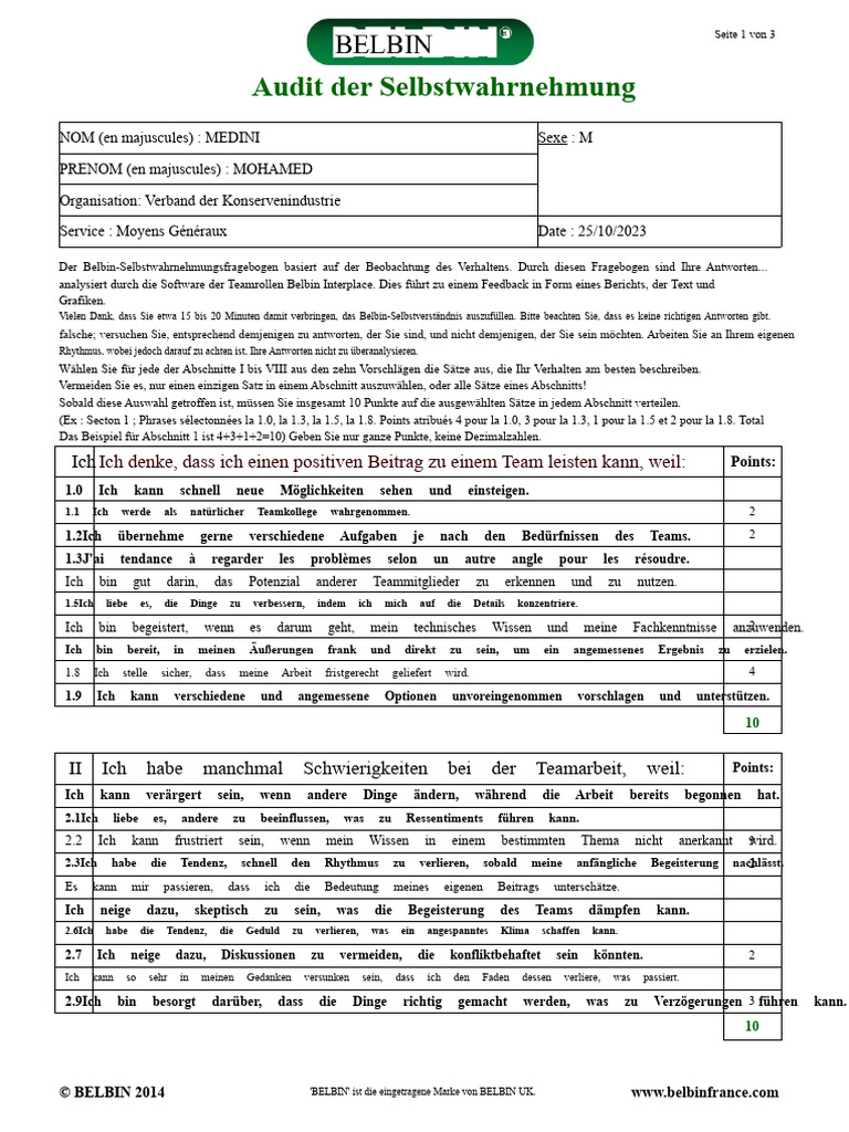 Belbin Test | PDF
