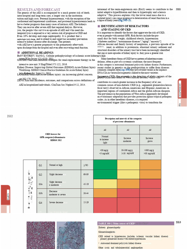 Understanding Acute Kidney Injury Risks | PDF | Chronic Kidney Disease ...