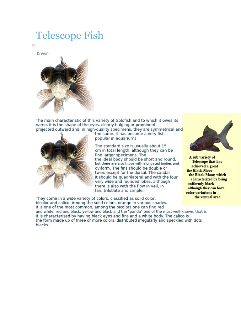 Telescope Fish Care and Characteristics | PDF | Anatomical Terms Of ...