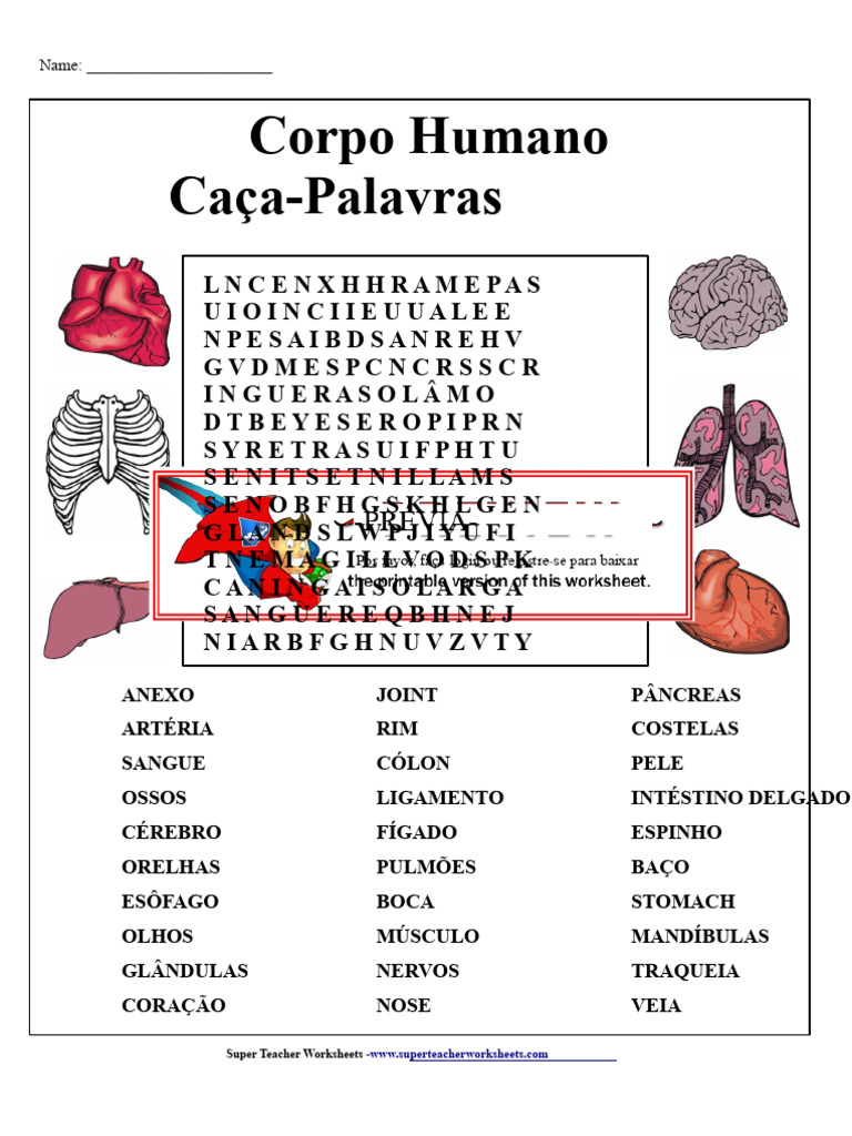 Caça-Palavras do Corpo Humano | PDF