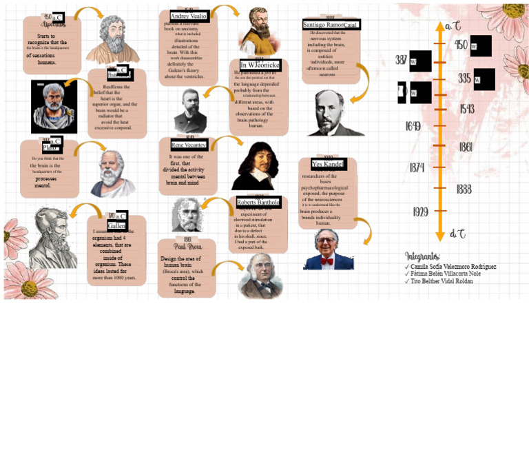 Timeline - Biological Bases of Behavior - Group Work | PDF | Brain | Mind