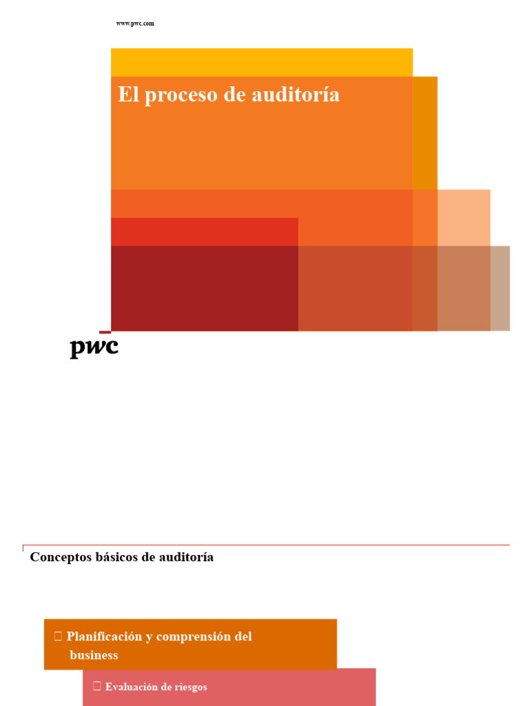 Proceso de Auditoría y Materialidad en PwC | PDF | Auditoría | Estado ...