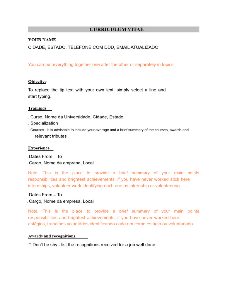 Professional CV Template Guide | PDF