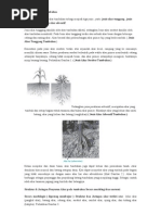 Download Jenis Jenis Akar Tumbuhan by Gery Gantara SN97185314 doc pdf