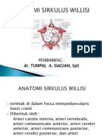 Anatomi Sirkulus Willisi