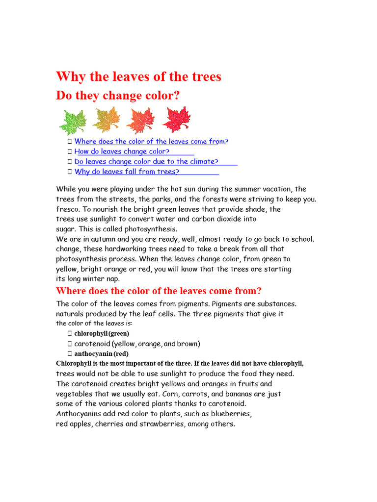 Why Do Tree Leaves Change Color? | PDF | Leaf | Trees