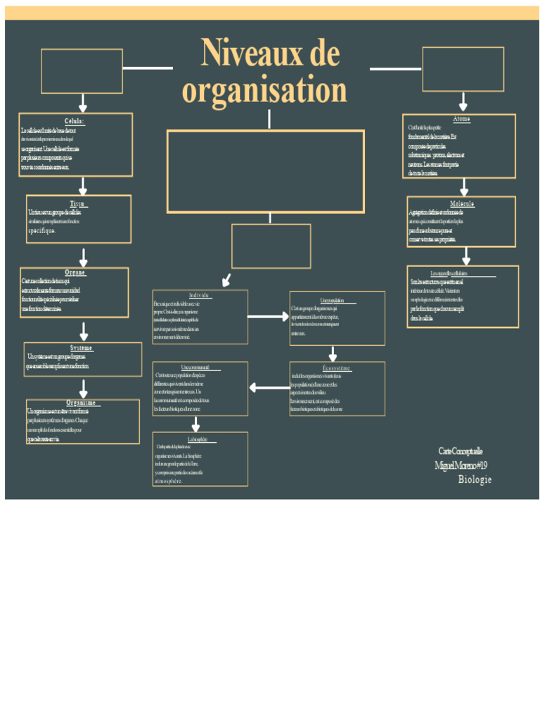 Niveaux d'organisation en biologie | PDF | Molécules | Atomes