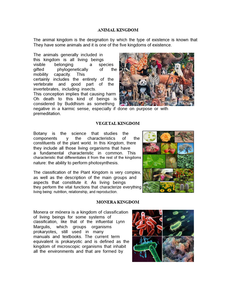 5 Kingdoms | PDF | Fungus | Cell (Biology)