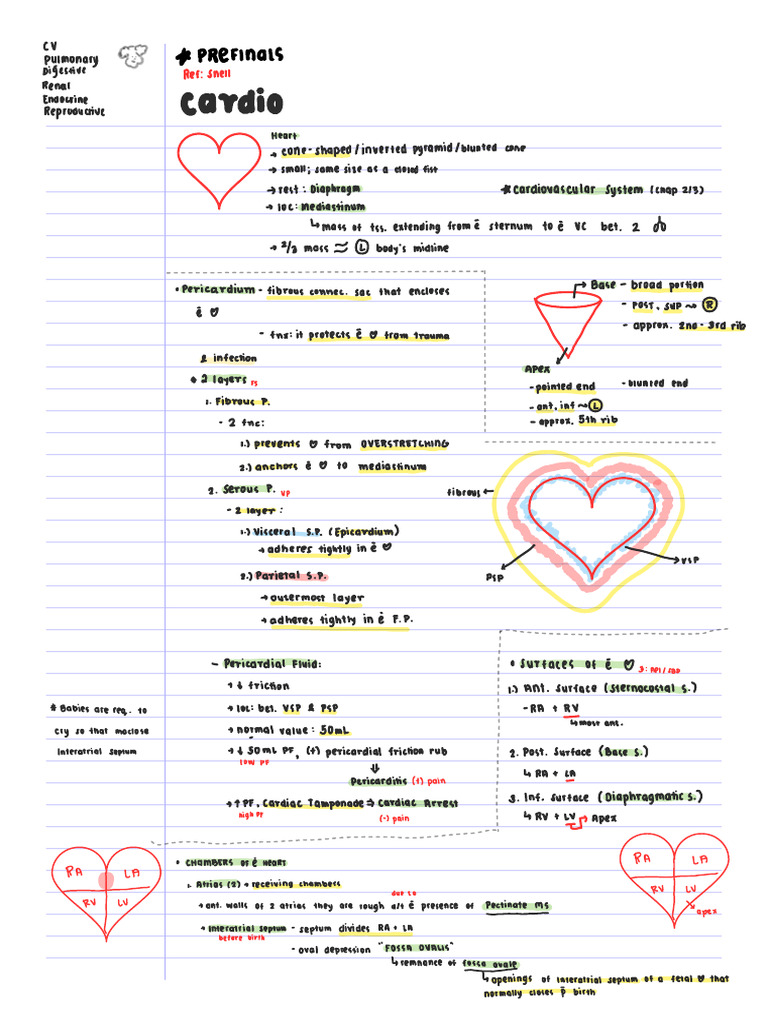 Anakines Lab Copy BNy | PDF