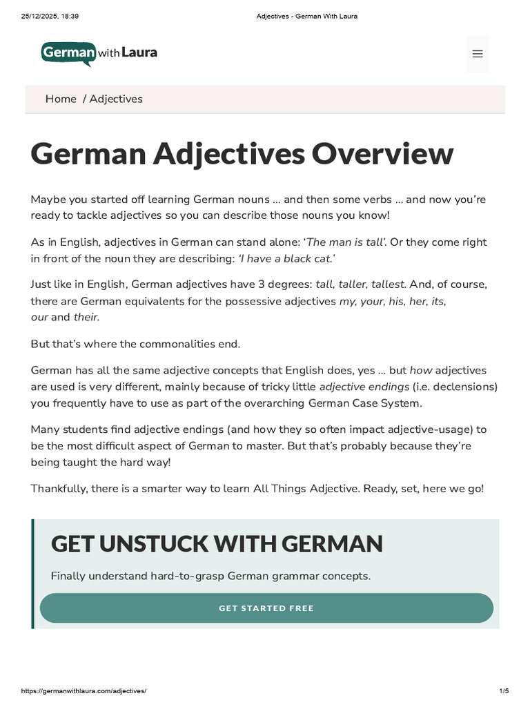 German Adjectives Explained Simply | PDF | Adjective | Noun