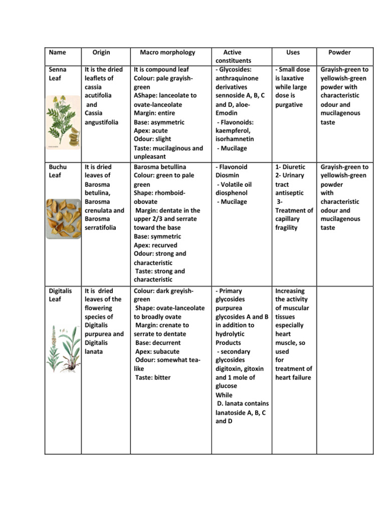 Medicinal Leaf Properties and Uses | PDF | Cocaine | Caffeine