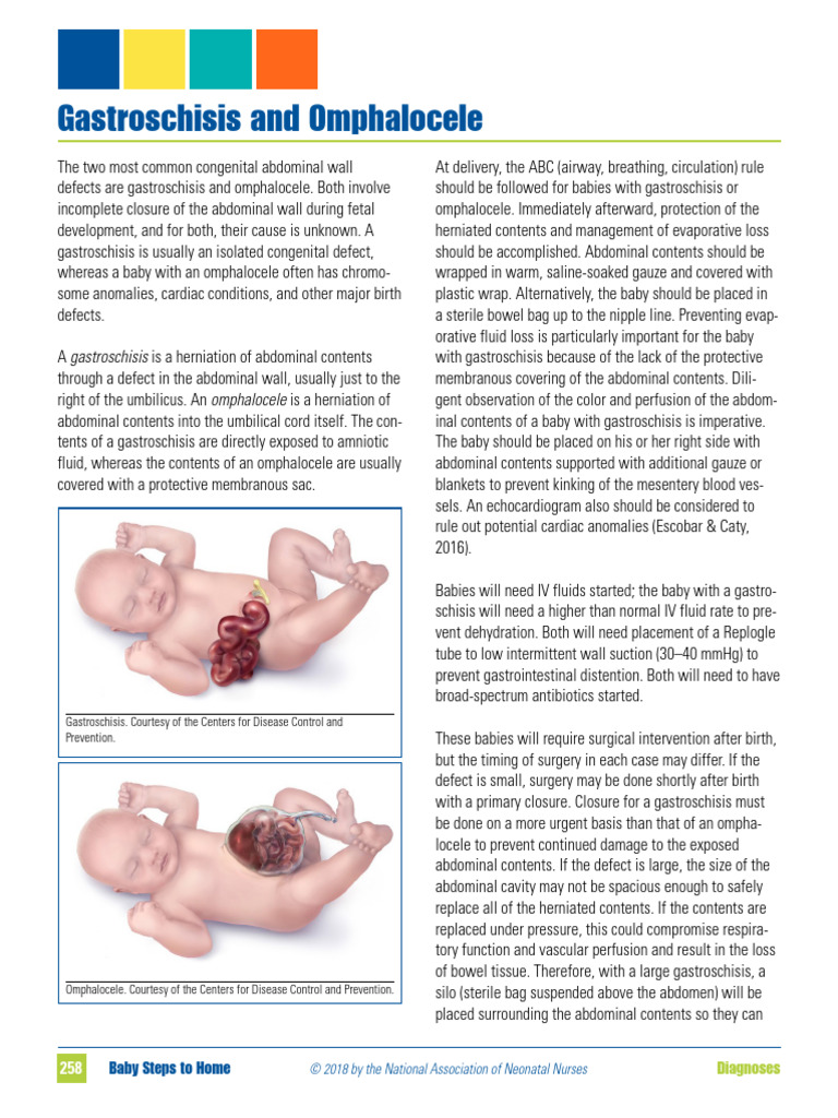 Gastroschisis and Omphalocele | PDF | Clinical Medicine | Human ...