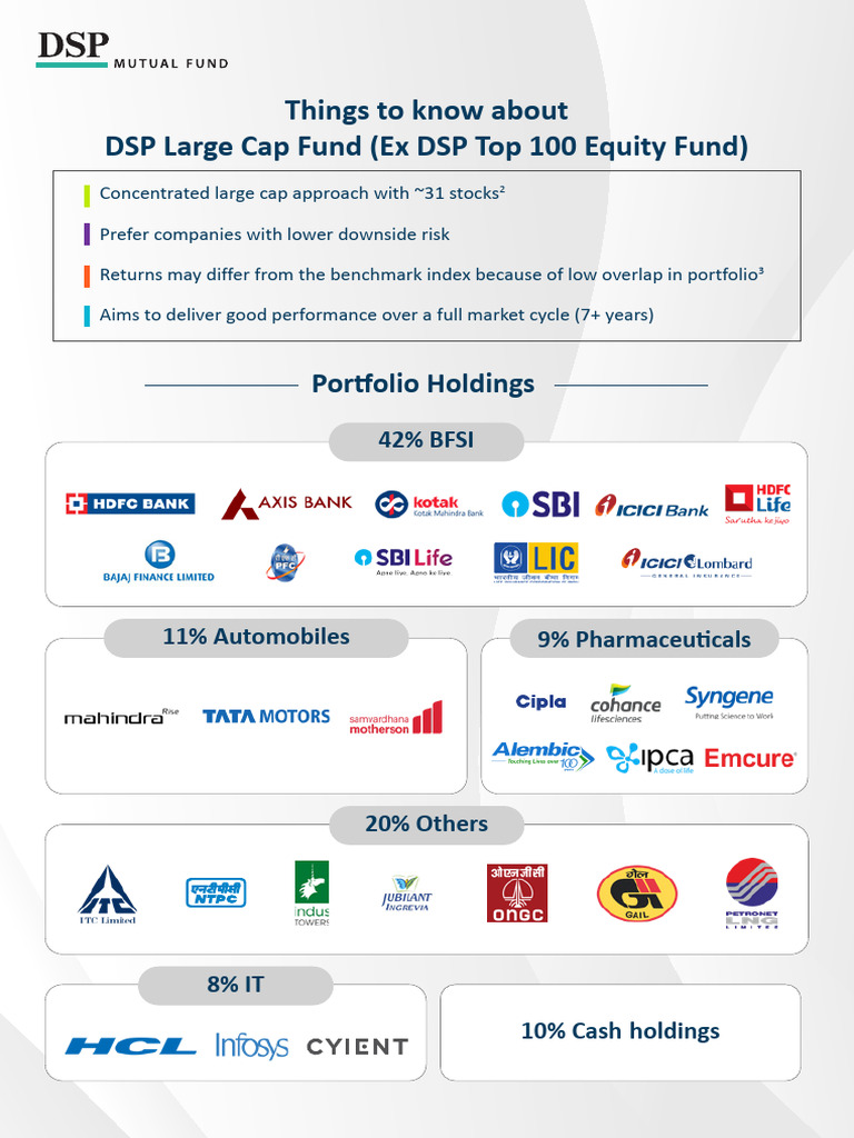 DSP Large Cap Fund Overview and Strategy | PDF | Investing | Risk