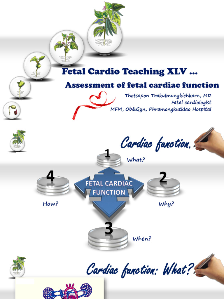 Fetal Cardiac Function Assessment Guide | PDF | Diastole | Ventricle ...