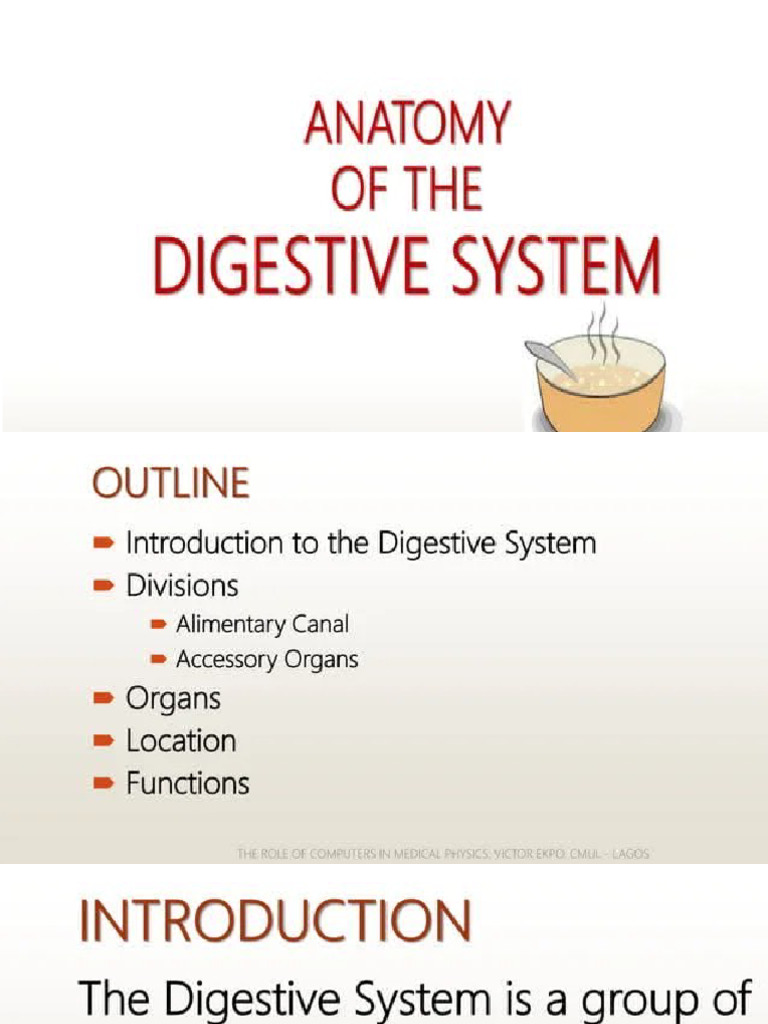 Anatomy of Digestive System | PDF