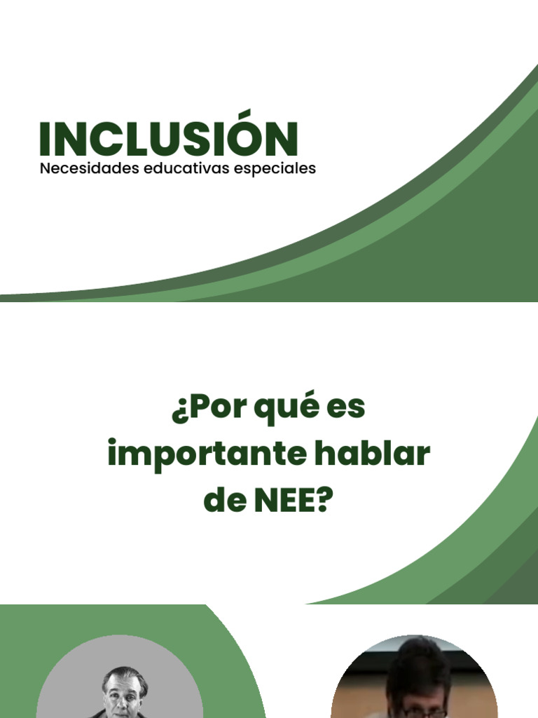 Inclusión | PDF