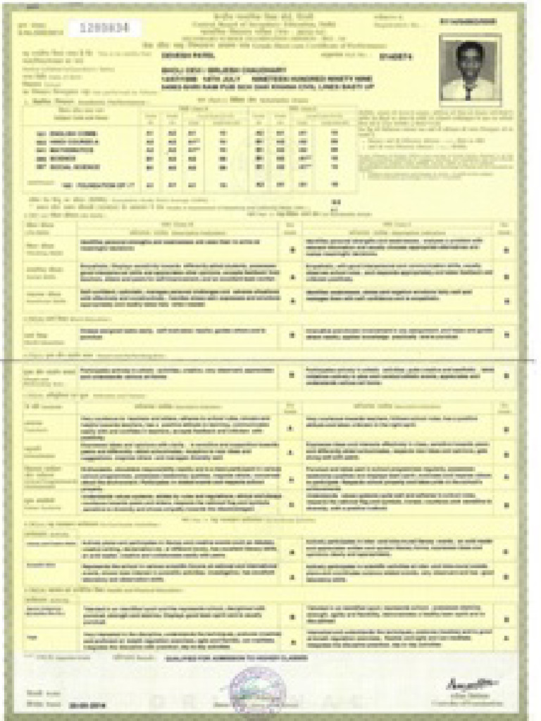 Document WPS Office | PDF
