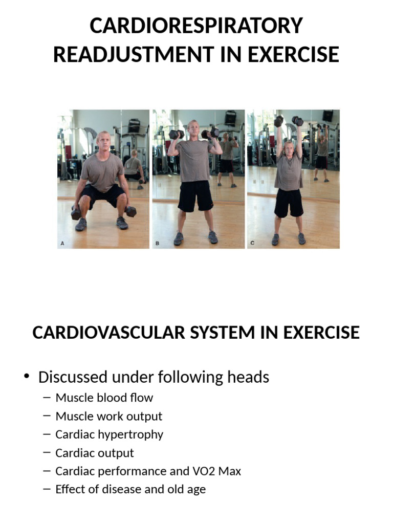 Cardiorespiratory Adjustments in Exercise | PDF | Breathing | Lung