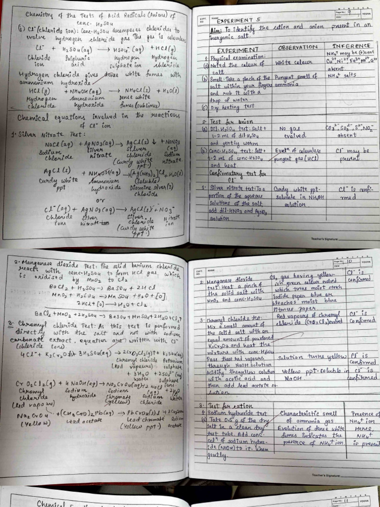 Chemical Experiment Observation Form | PDF