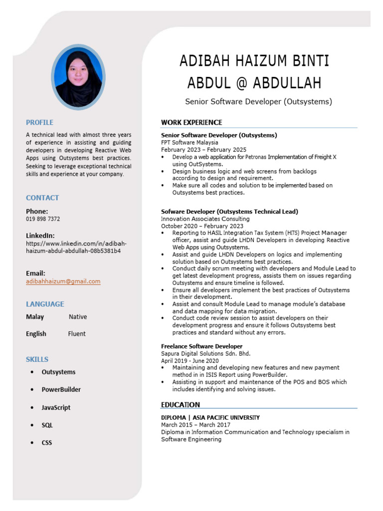 Senior Software Developer Profile | PDF | Software Development ...