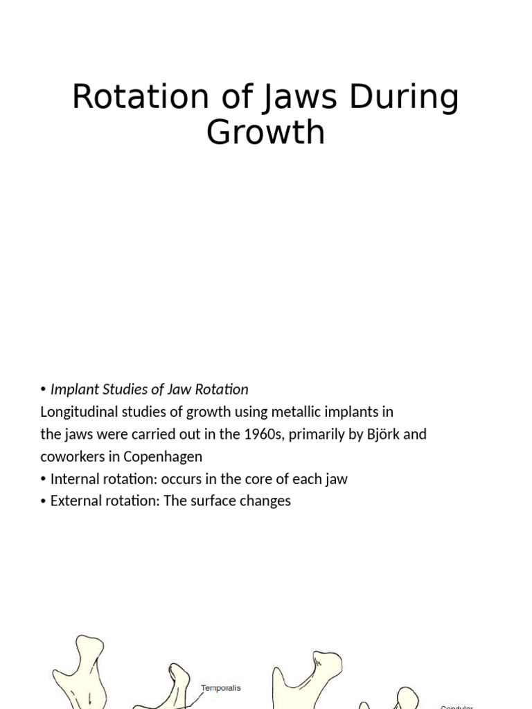Rotation of Jaws During Growth | PDF