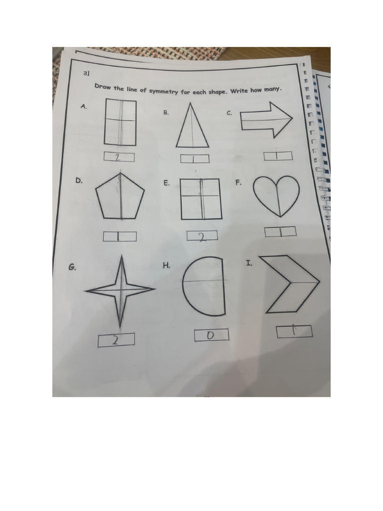Symmetry Worksheet | PDF