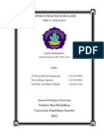 Download Laporan Praktikum Bk Karir by Budi Artawan SN97198635 doc pdf