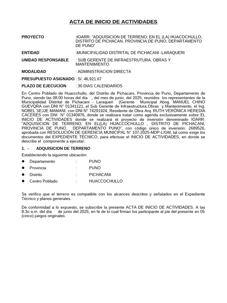 Acta de Inicio | PDF