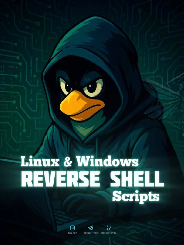 Hex.sec Tools and Team Overview | PDF