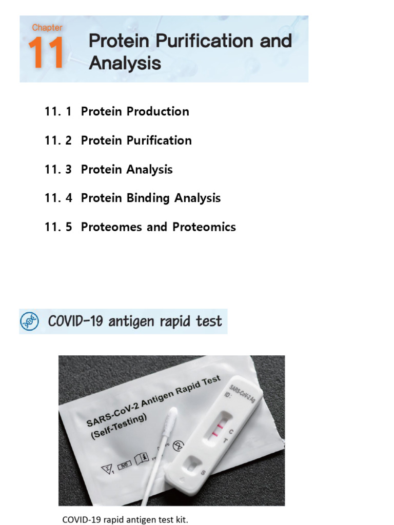 Protein Production and Testing Methods | PDF | Mass Spectrometry ...