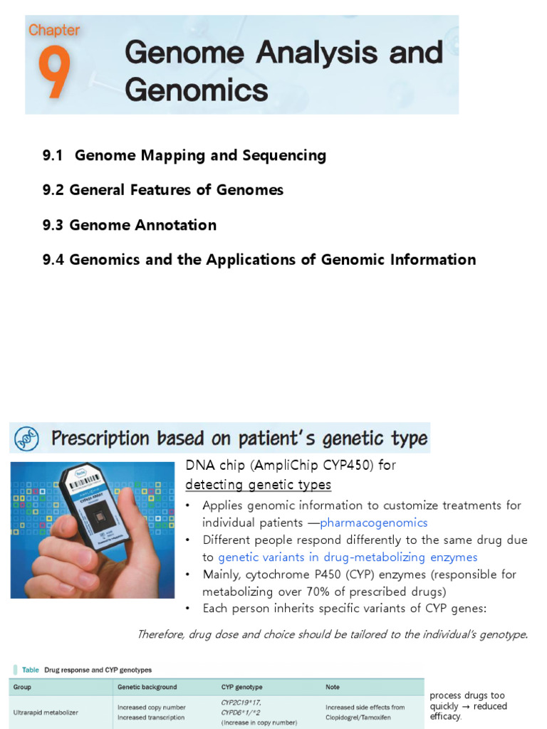 Genome Mapping and Sequencing Overview | PDF | Single Nucleotide ...