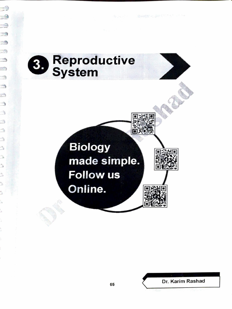 Year 6 Ch3 Science | PDF