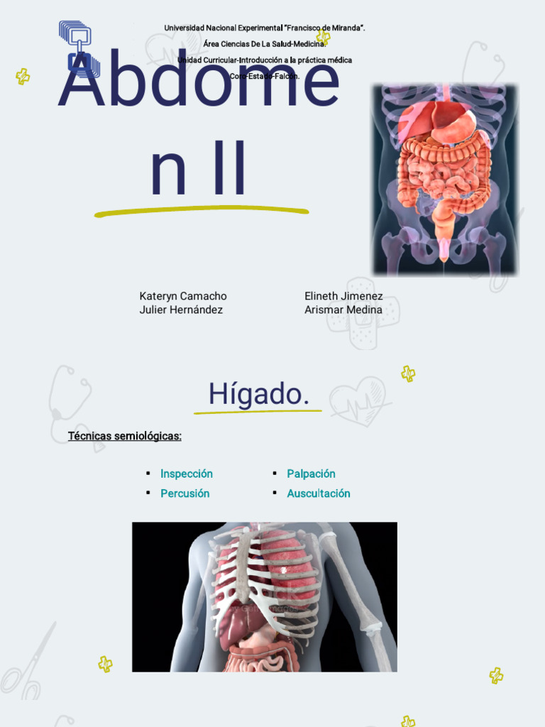Abdomen II | PDF | Hígado | Riñón