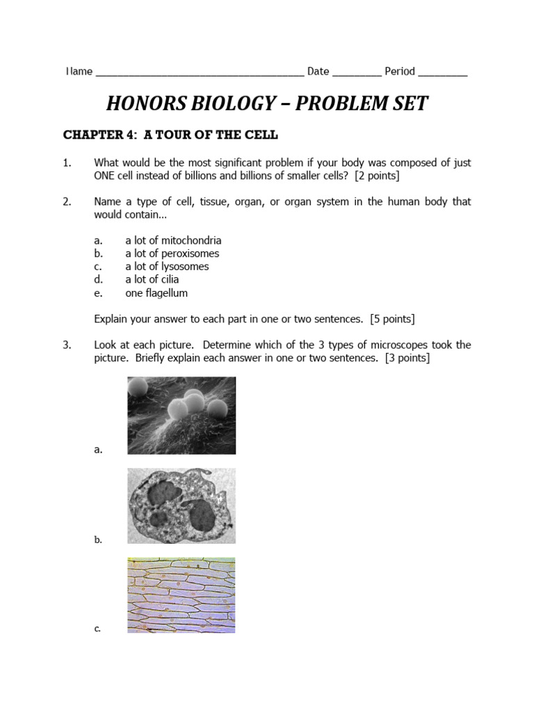 BioH-ProbSet4 | PDF