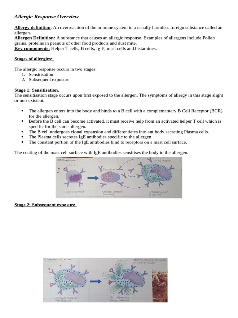 Understanding Allergic Reactions Explained | PDF | Allergy | Allergen